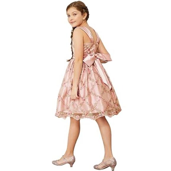 Chasing Fireflies Pageant /‎ Formal dress size 12 - Picture 1 of 8